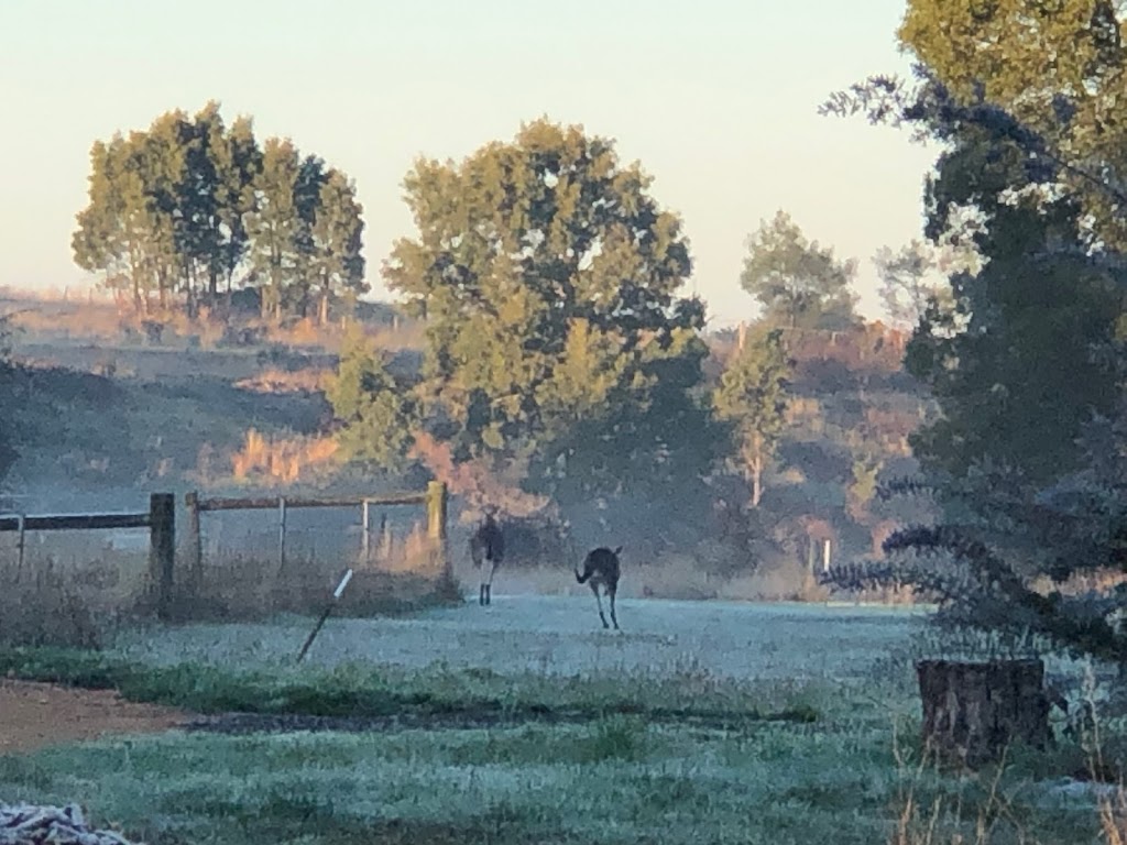 Mellee Cottage | 14 Cope St, Scarsdale VIC 3351, Australia | Phone: 0417 033 774