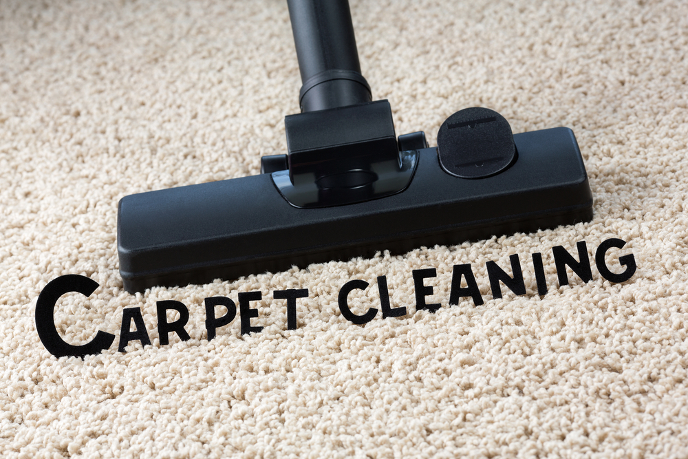 Carpet Cleaning Kangaroo Point | Kangaroo Point NSW 2224, Australia | Phone: 0488 880 270