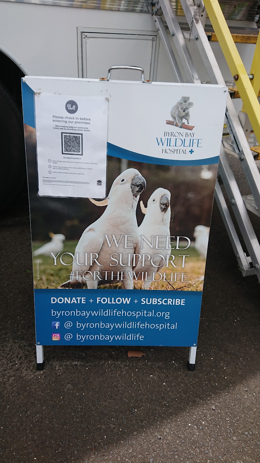 Byron Bay Wildlife Hospital Ltd | veterinary care | 419 Hinterland Wy, Knockrow NSW 2479, Australia | 1300945354 OR +61 1300 945 354
