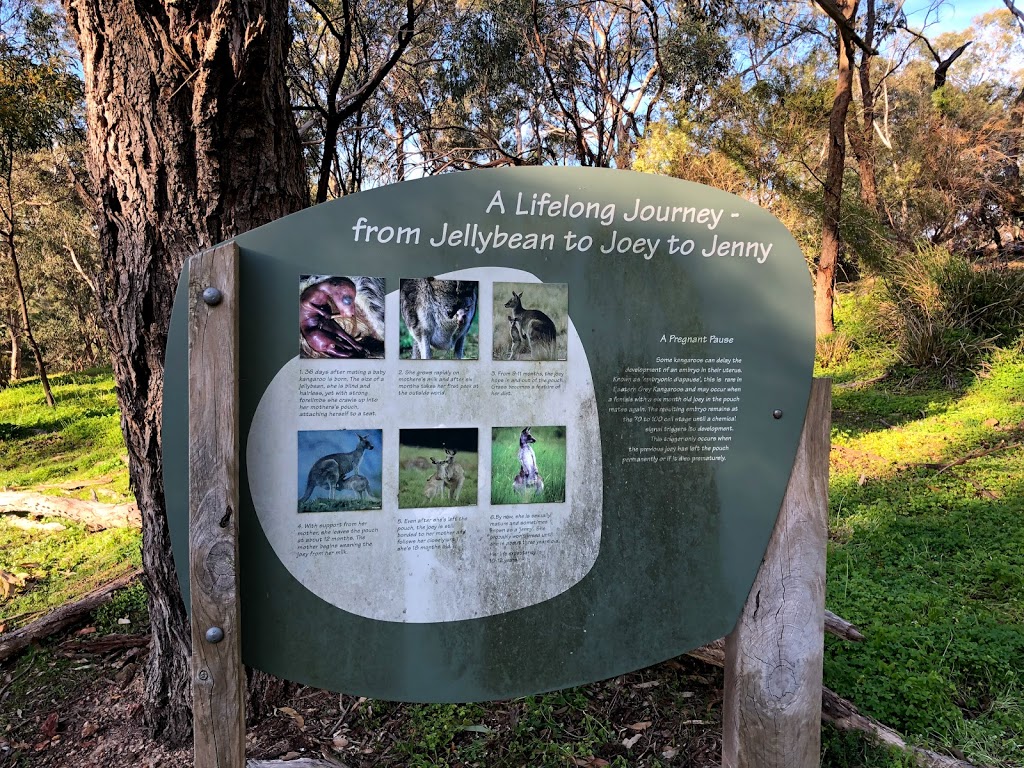 Currawong Bush Park Environment Centre | park | Warrandyte VIC 3113, Australia