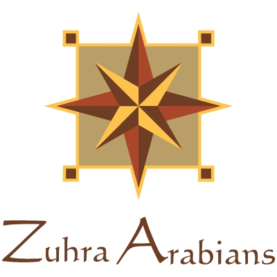 Zuhra Arabian Horses | 421 Russells Rd, Pine Mountain QLD 4306, Australia | Phone: 0408 726 227