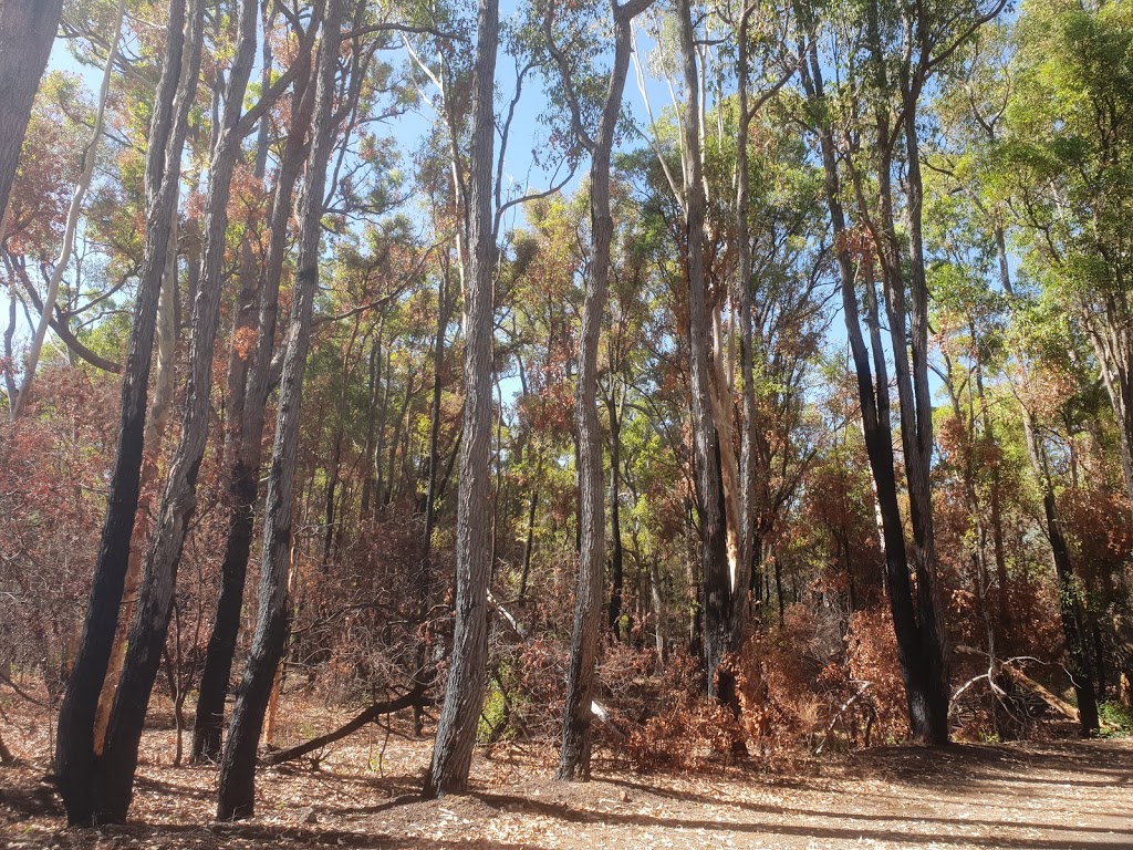 Langford Park, Nettleton Road entrance | park | Langford Park, Jarrahdale WA 6124, Australia
