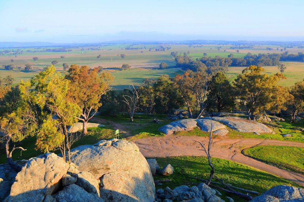 Morgans Lookout | tourist attraction | Lookout Road, Culcairn NSW 2660, Australia | 0260362422 OR +61 2 6036 2422