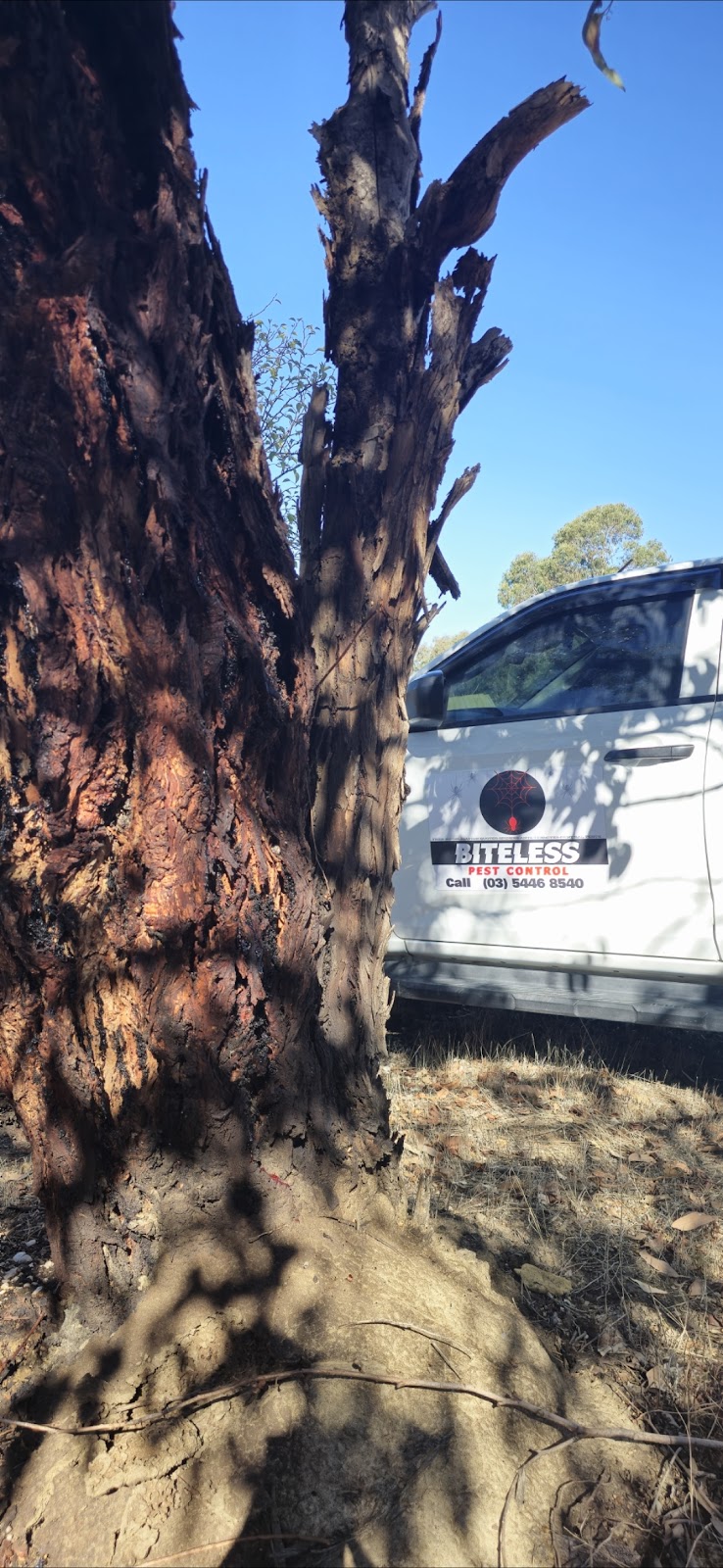 Biteless Pest Control | Kangaroo Flat VIC 3555, Australia | Phone: (03) 5446 8540