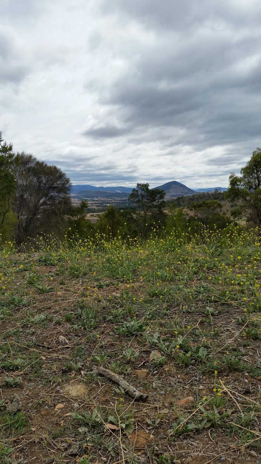 Brinktop Bushland Reserve | 229 Brinktop Rd Richmond TAS 7025 Brinktop Rd, Richmond TAS 7025, Australia