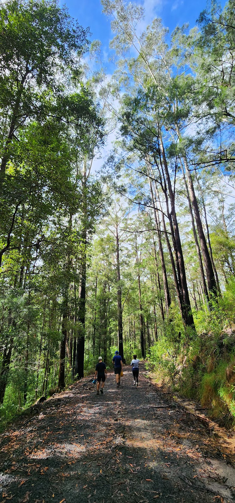 Connect Adventures - Gidjuum Gulganyi Walk | Minyon Dr, Whian Whian NSW 2480, Australia | Phone: 0492 981 811