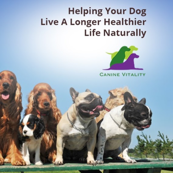 Canine Vitality | C/O The Complete Pet Company, 148 South Pine Rd, Enoggera QLD 4051, Australia | Phone: 0417 710 882