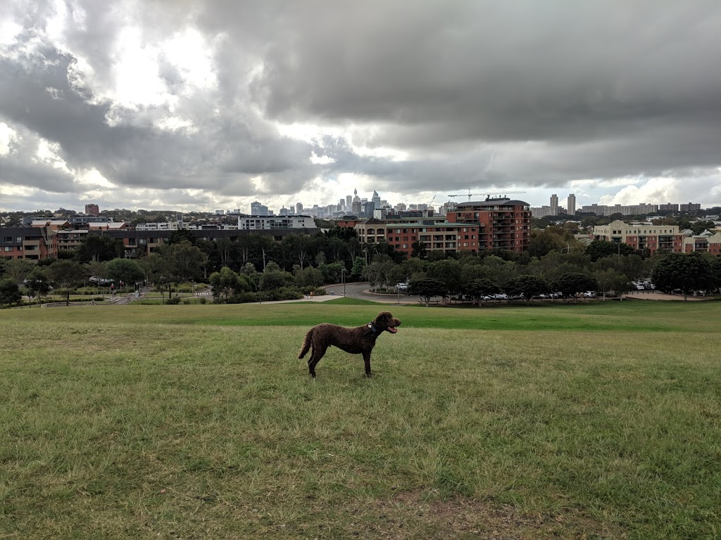 Sydney Park Dog Pond | Alexandria NSW 2015, Australia