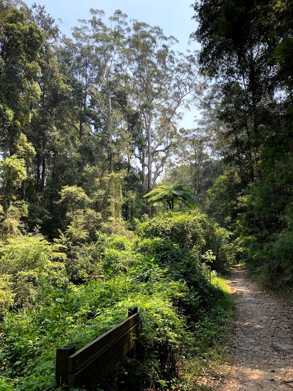 Lane Cove National Park - Woods St Oval Entry | park | North Epping NSW 2121, Australia