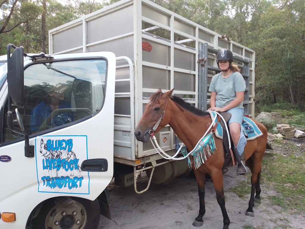Blueys Livestock Transport | 383 Princes Hwy, Nowra NSW 2541, Australia | Phone: 0487 459 166