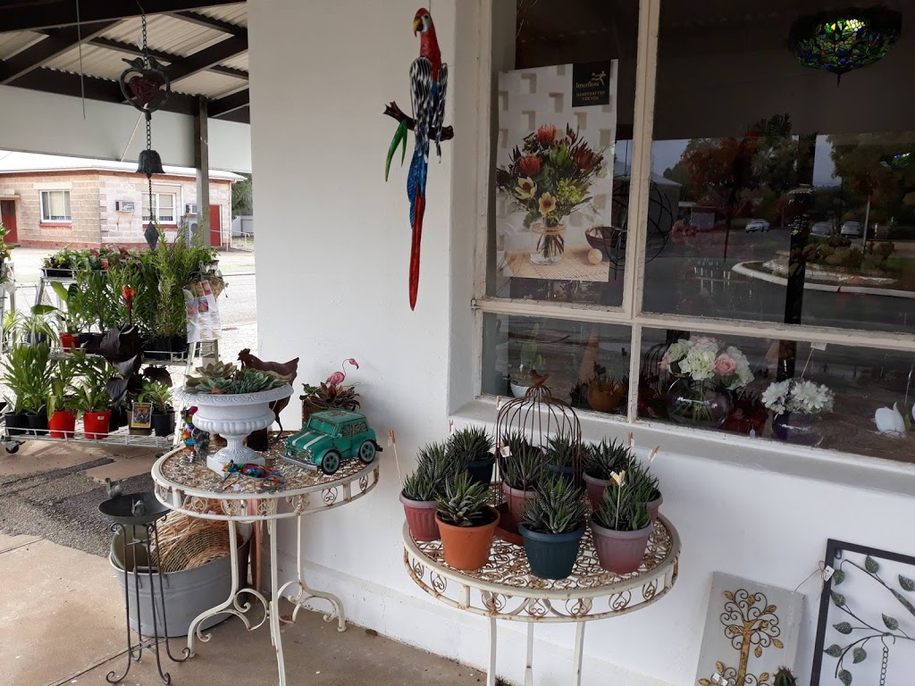 Flower Storm | 26 Herbert St, Laura SA 5480, Australia | Phone: 0403 220 199