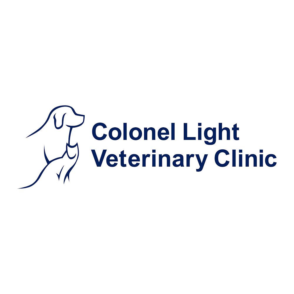 Colonel Light Veterinary Clinic | veterinary care | 59 Springbank Rd, Colonel Light Gardens SA 5041, Australia | 0882767711 OR +61 8 8276 7711