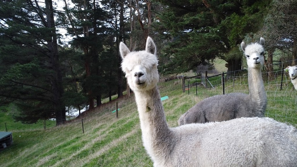 Hopwood Estate | 140 Korumburra-Warragul Rd, Korumburra VIC 3950, Australia | Phone: 0407 285 285