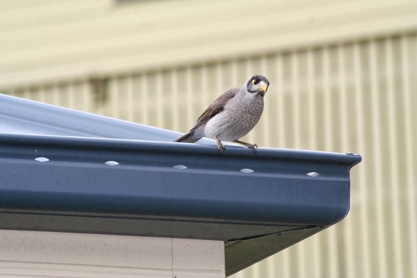 Enviro Roofing | 1 Clark Terrace, Seaton, South Australia SA 5023, Australia | Phone: 1300 850 504