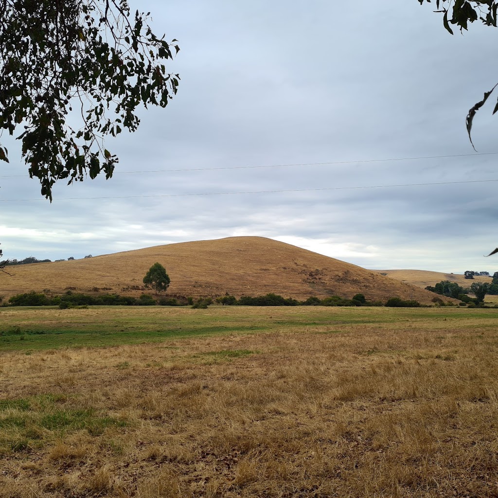 Old Thomson Brook Church | 113 Thomson Brook Rd, Thomson Brook WA 6239, Australia | Phone: 0428 101 263