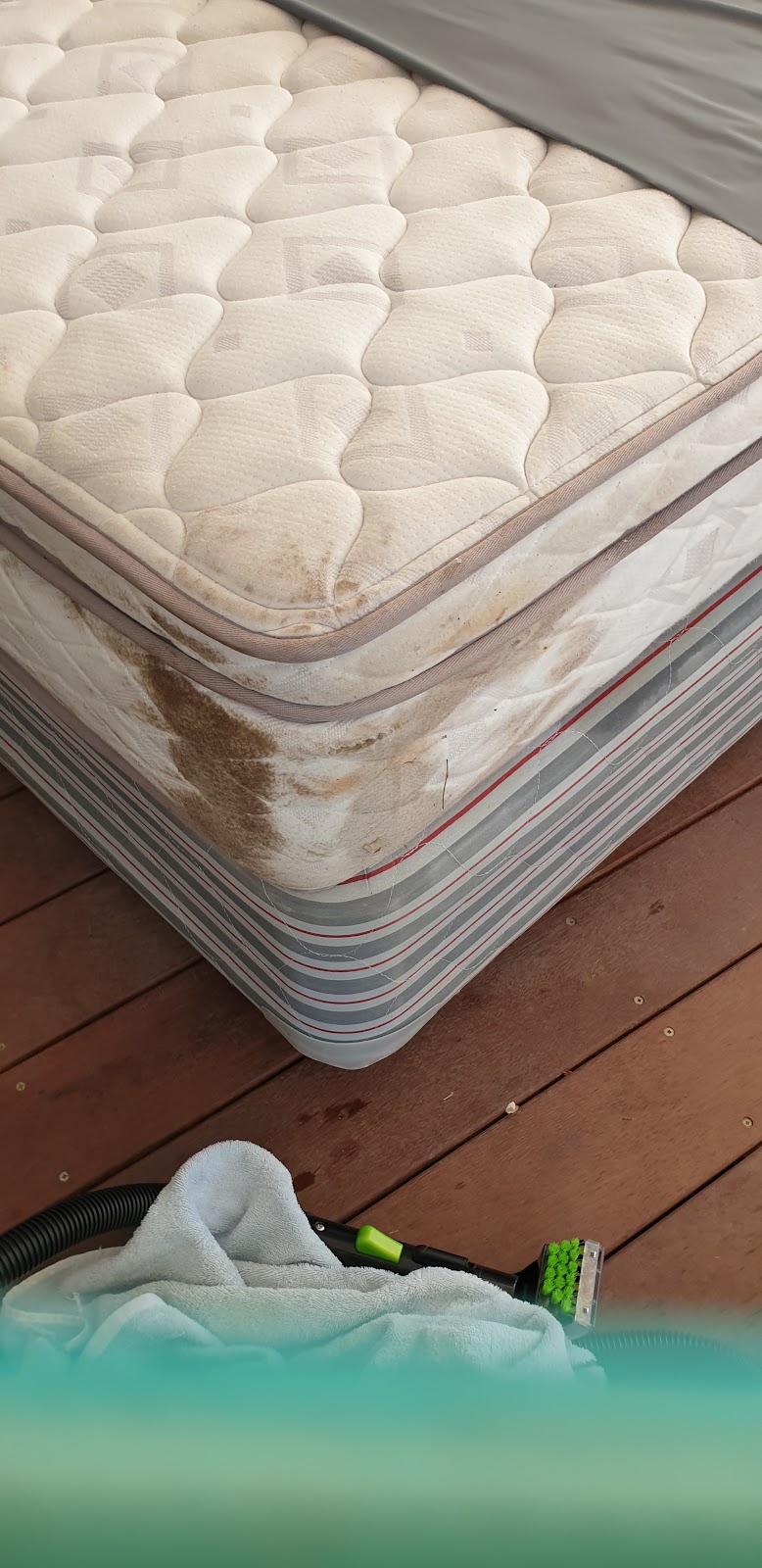 Dynamic Carpet Cleaners | 66 Coomera Gorge Dr, Tamborine Mountain QLD 4272, Australia | Phone: 0408 061 282