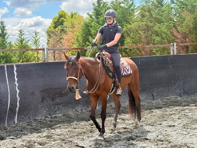 Confetti Equestrian and Appaloosas | 10 Boundary Rd, Buxton NSW 2571, Australia | Phone: 0403 132 905