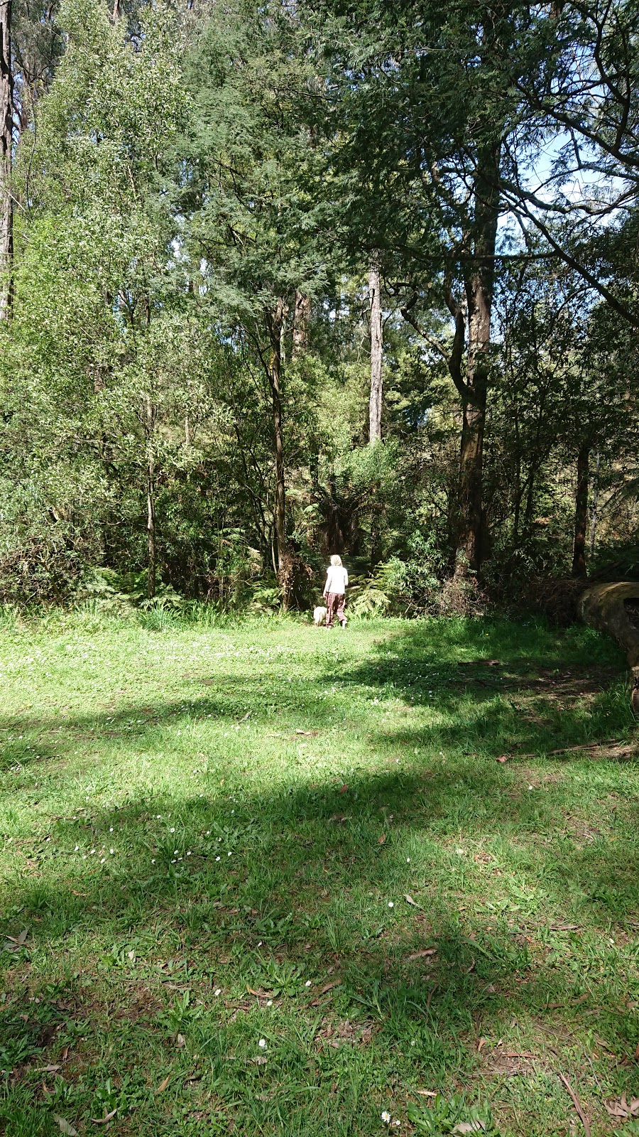 Beagleys Picnic Ground | park | 37C Perrins Creek Rd, Kallista VIC 3791, Australia