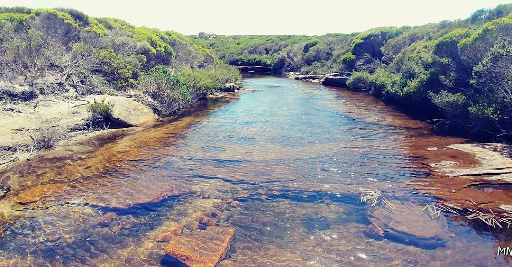 Curracurrong Creek | park | Royal National Park NSW 2233, Australia