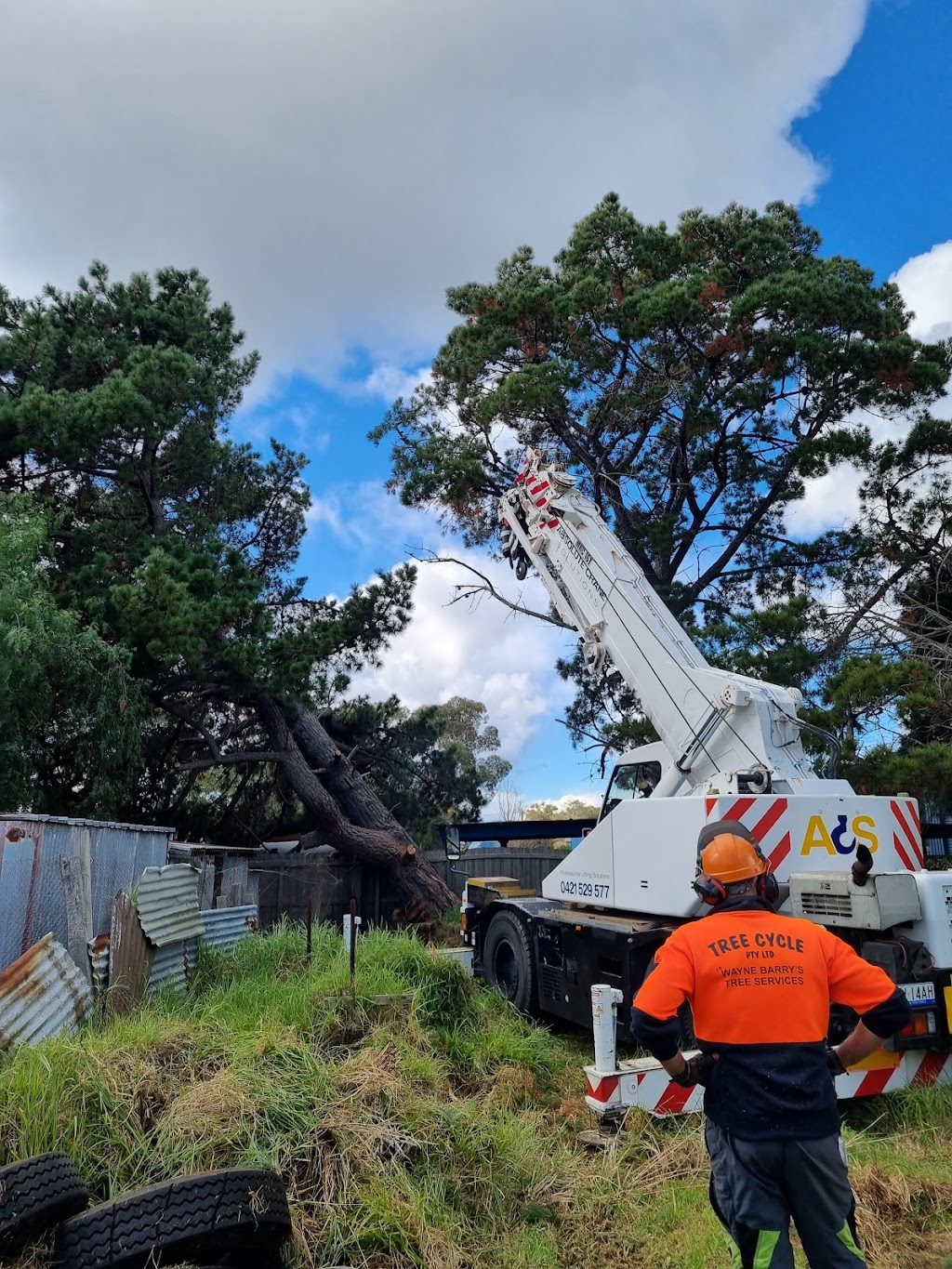 Tree Cycle Pty Ltd TA Wayne Barrys Tree Services |  | 335 Ballarat Rd, Batesford VIC 3213, Australia | 0418522351 OR +61 418 522 351