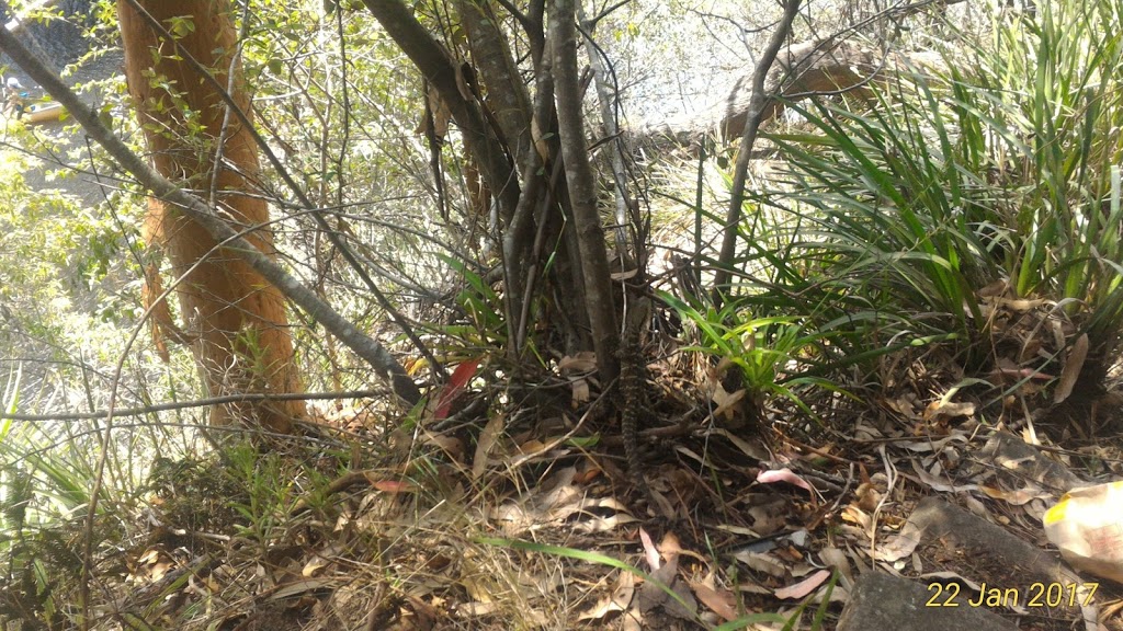 Allambie Flat picnic area carpark | parking | Unnamed Road, Royal National Park NSW 2233, Australia