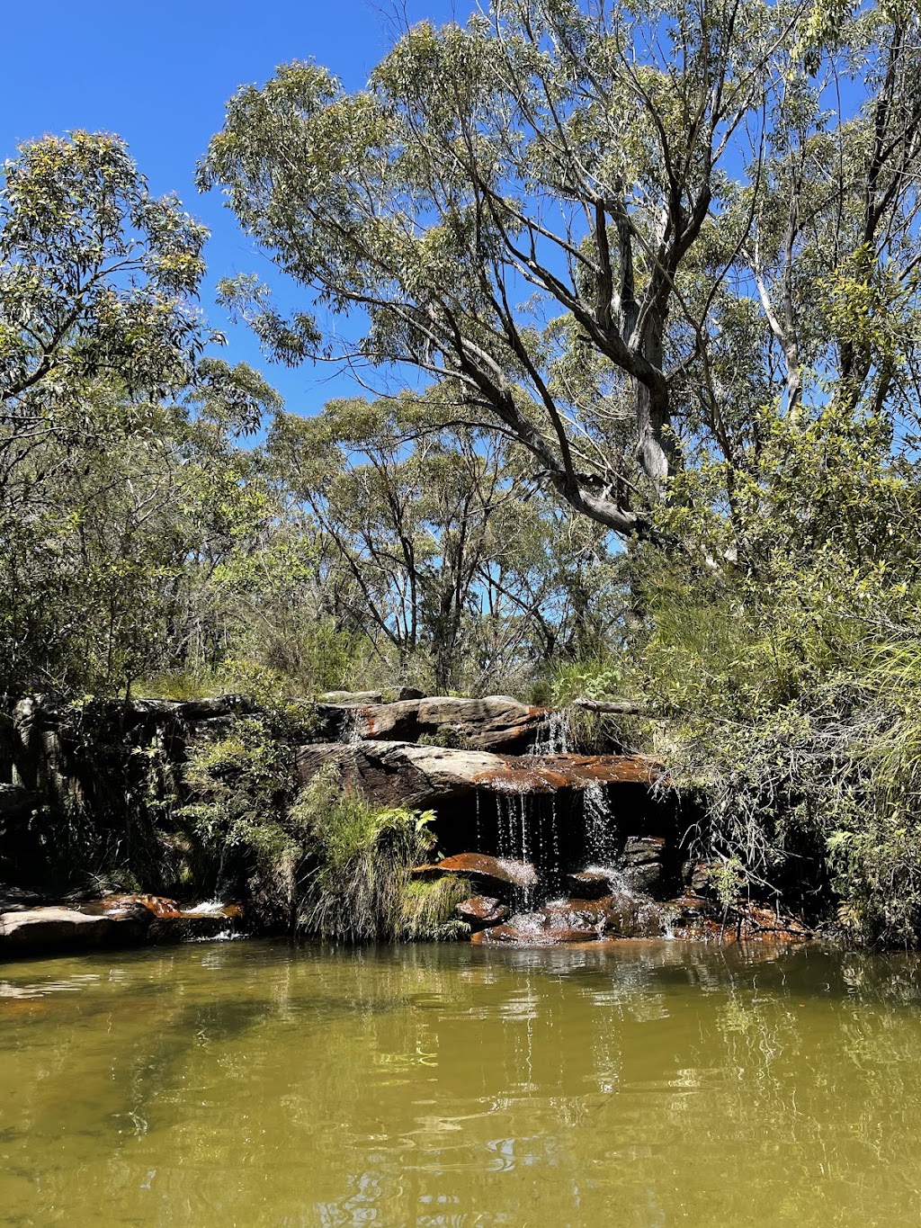 Pittwater Eco Adventures | 33 Scenic Dr, Manly NSW 2095, Australia | Phone: 0436 808 528