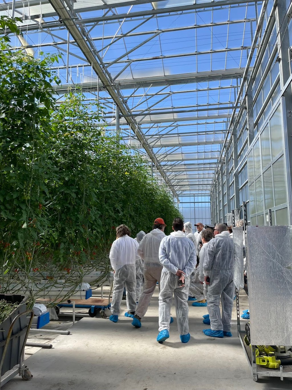 Allegro Farm | 12 Archer Rd, Spring Creek QLD 4343, Australia | Phone: 0403 245 522