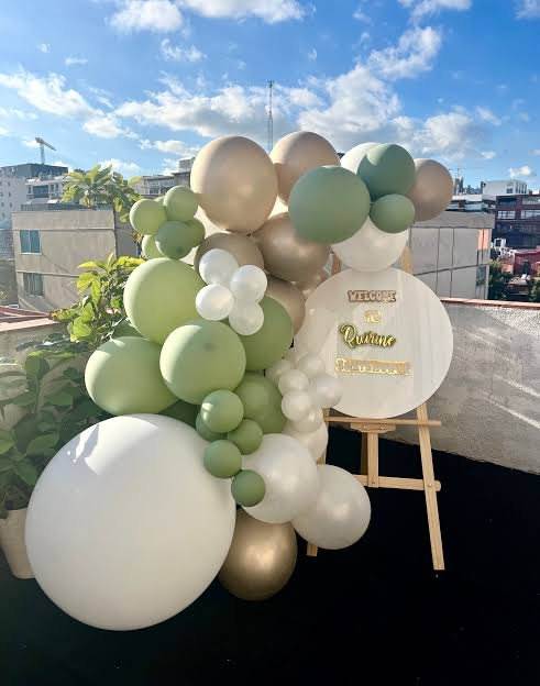 BalloonVIP | 140 Eagleby Rd, Eagleby QLD 4207, Australia | Phone: 0481 163 274