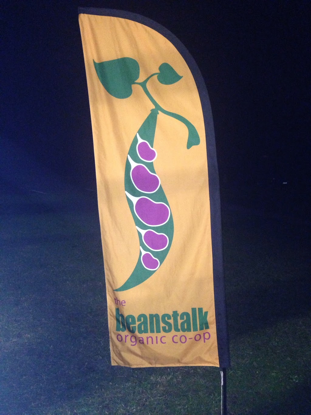 Beanstalk Organic | 31A Church St, Mayfield NSW 2304, Australia | Phone: 0424 323 506