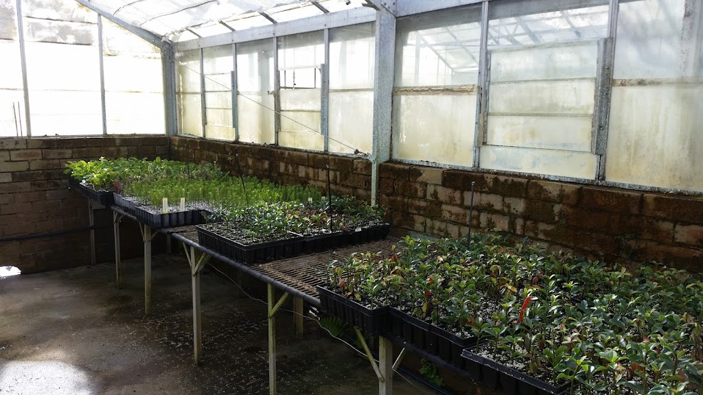 Randwick City Council Community Nursery | 2R Barker St, Kingsford NSW 2032, Australia | Phone: (02) 9093 6250