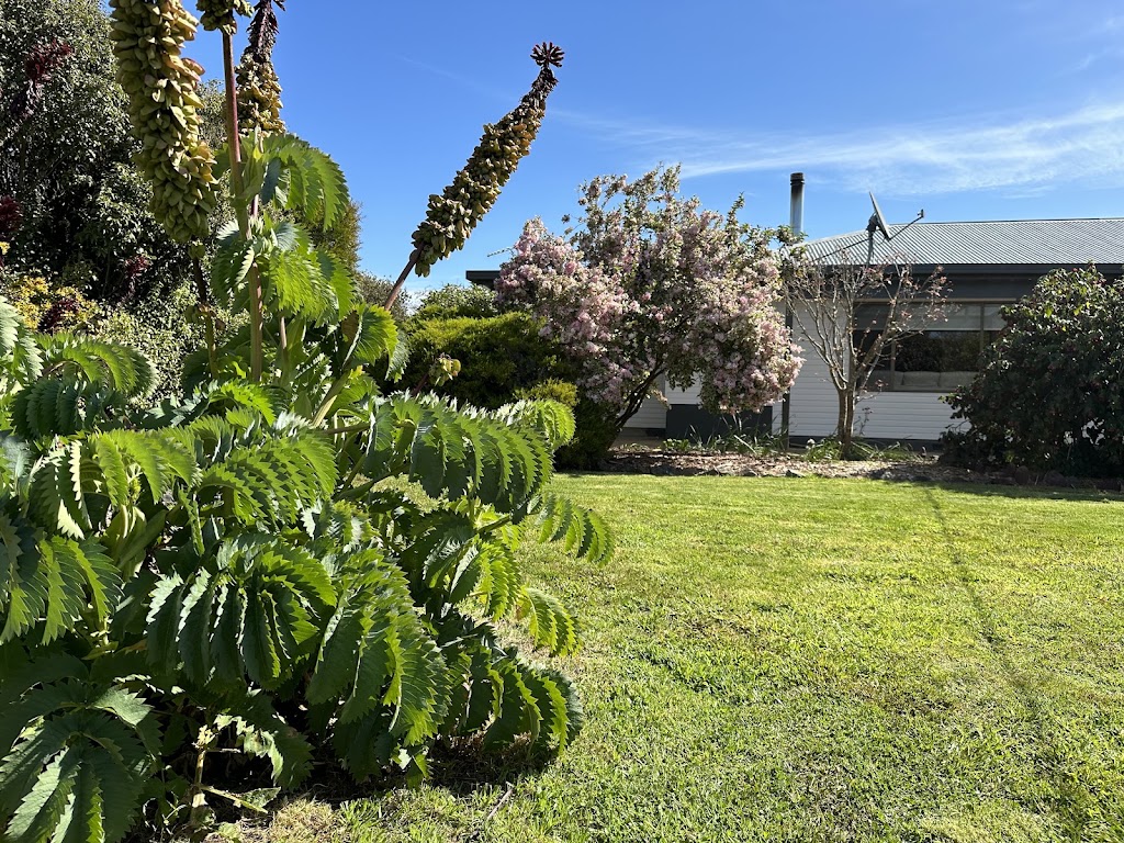 Two Twenty Two Farm Stay | 344 Robbins Rd, Lymwood TAS 7256, Australia | Phone: 0499 932 967