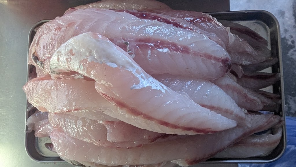 MK FRESH SEAFOODS | 32 Clark St, Colac East VIC 3250, Australia | Phone: 0456 562 061