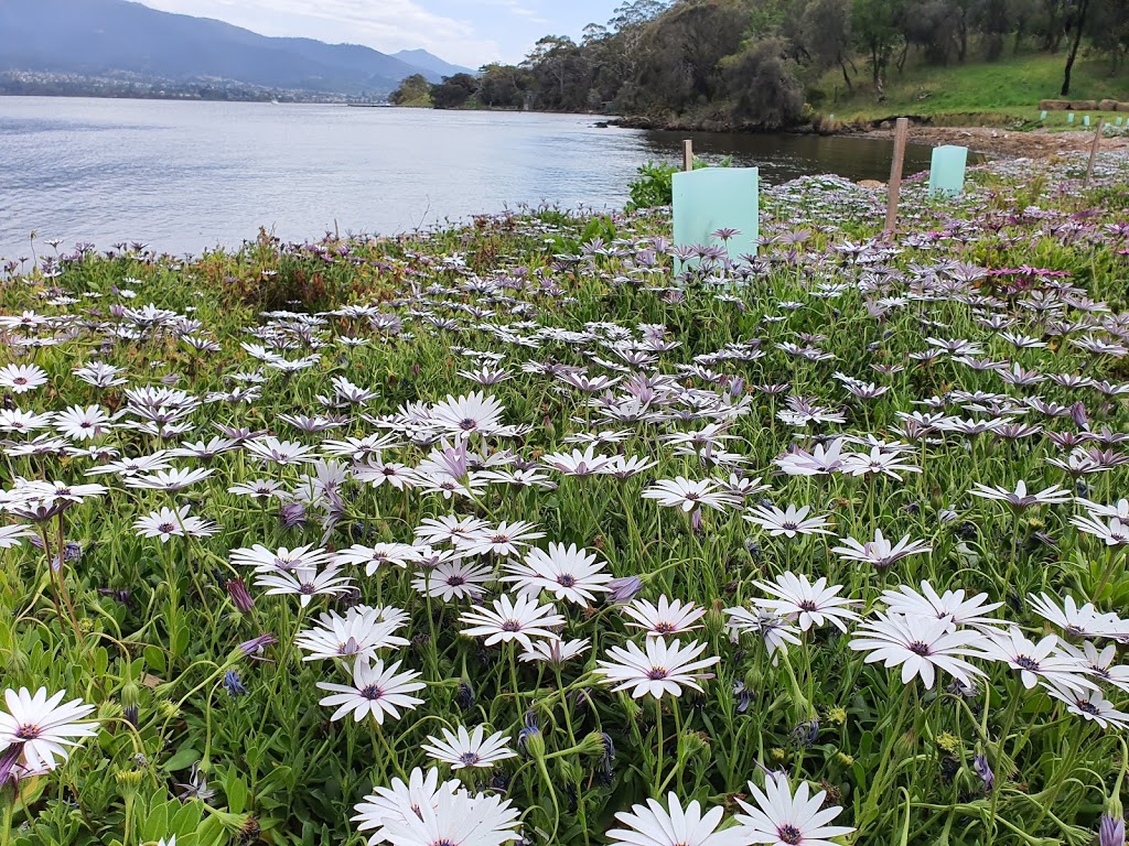 Otago Lagoon Reserve | Otago TAS 7017, Australia