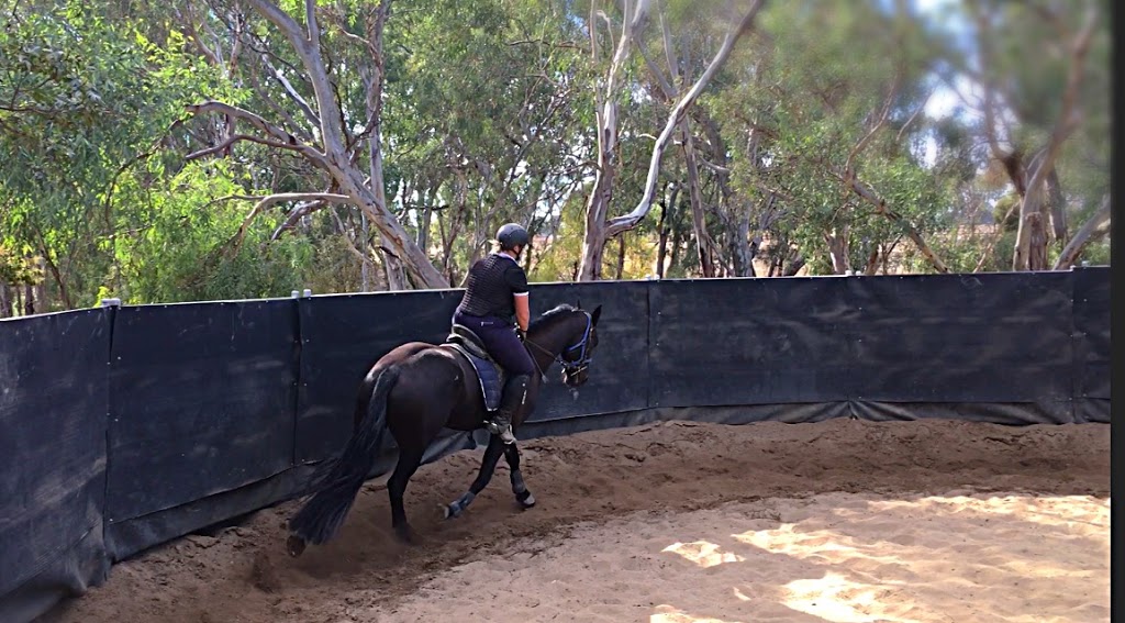 GBS Equestrian |  | Castle Dr, Arcadia VIC 3631, Australia | 0418184782 OR +61 418 184 782