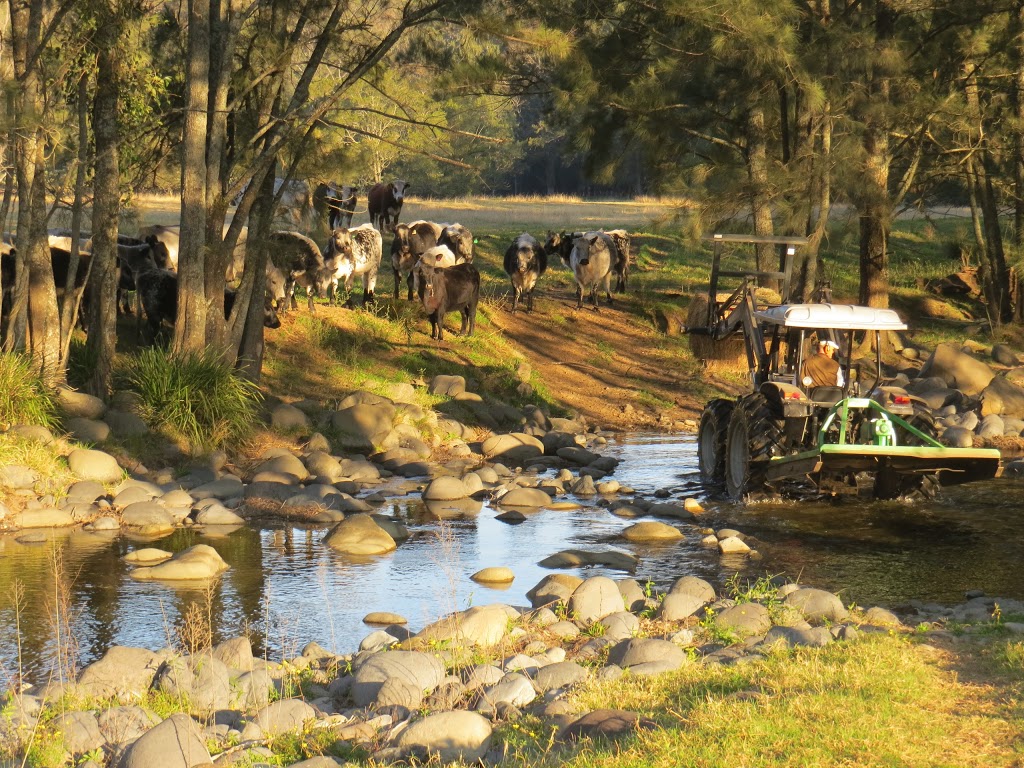 Raja Speckle Park | food | 3641 Allyn River Rd, Upper Allyn NSW 2311, Australia | 0412412192 OR +61 412 412 192