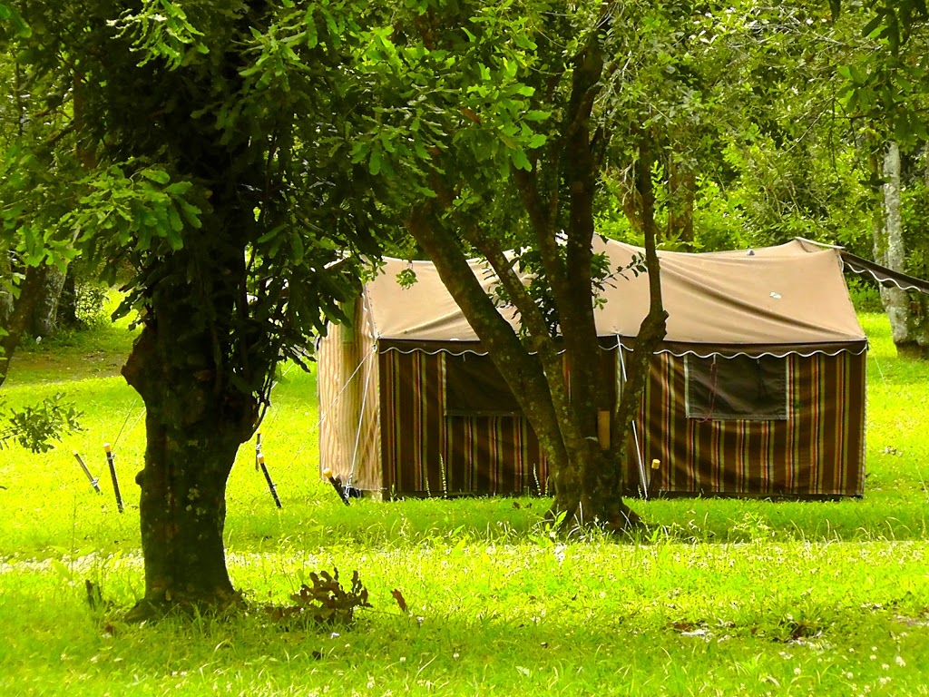 Macas Camping Ground | campground | 1156 Main Arm Rd, Upper Main Arm NSW 2482, Australia | 0266845211 OR +61 2 6684 5211