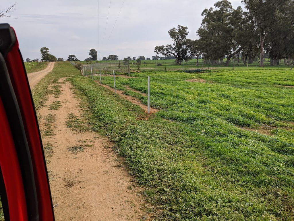 Awkward Rural Fencing | general contractor | 464 Notts Rd, Carlyle VIC 3685, Australia | 0467637479 OR +61 467 637 479