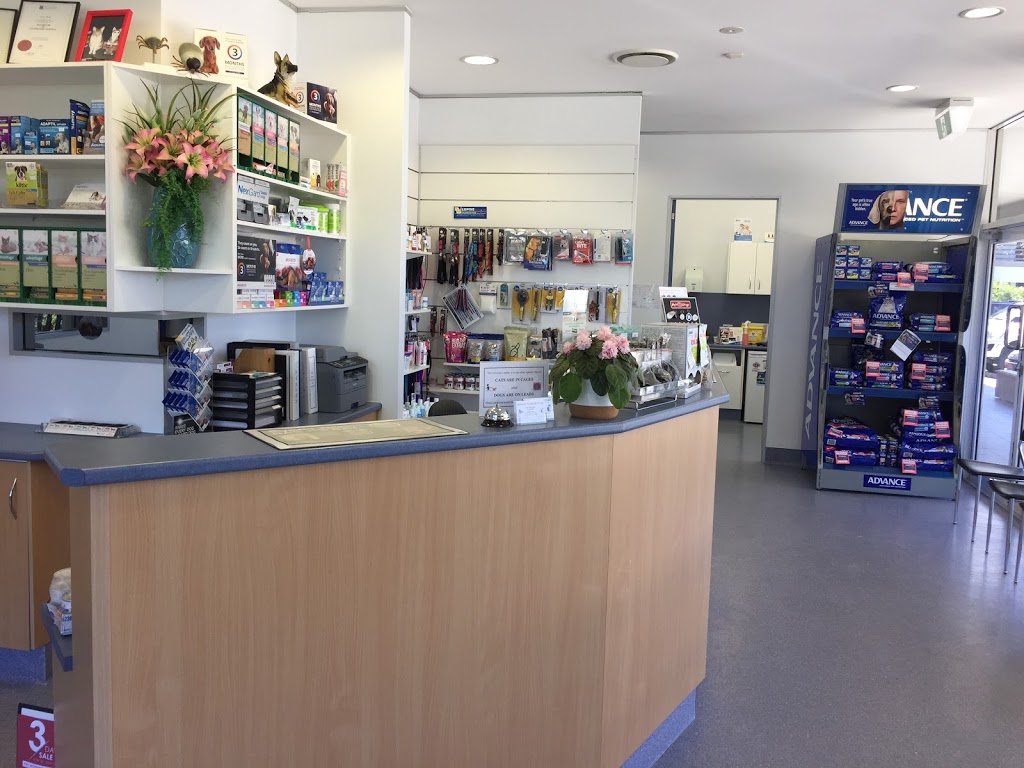 Birkdale Veterinary Clinic | veterinary care | 106 Birkdale Rd, Birkdale QLD 4159, Australia | 0738227725 OR +61 7 3822 7725