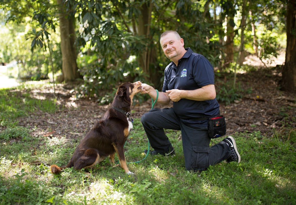 RSPCA School for Dogs - Wacol | 139 Wacol Station Rd, Wacol QLD 4076, Australia | Phone: 1300 790 224