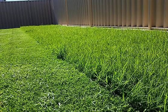 Camos Lawn Maintenance | Wishart QLD 4122, Australia | Phone: 0406 831 697
