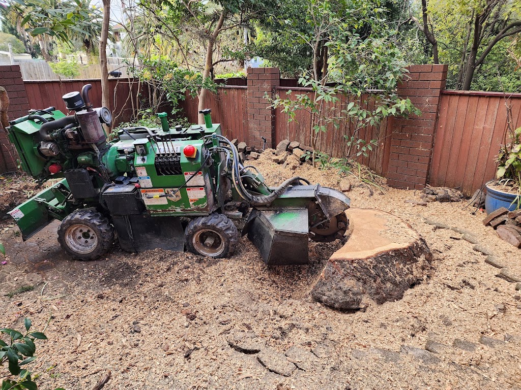 Removastump | 3 Harnett St, Boronia VIC 3155, Australia | Phone: 0425 736 571