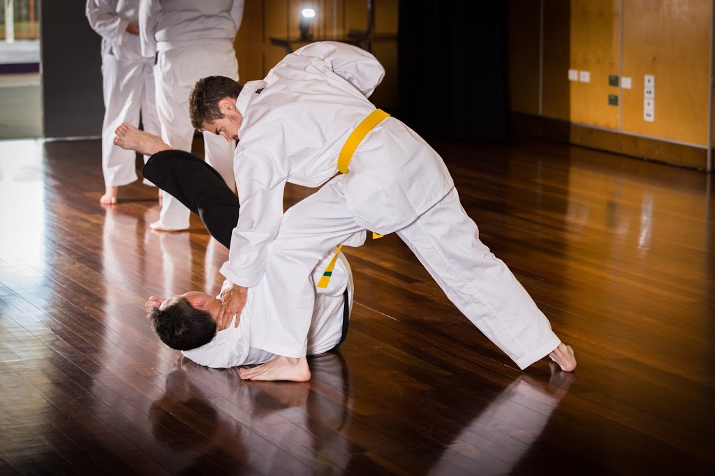 Freestyle Taekwondo Academy | health | 53 Springfield Lakes Blvd, Springfield Lakes QLD 4300, Australia | 0410608571 OR +61 410 608 571
