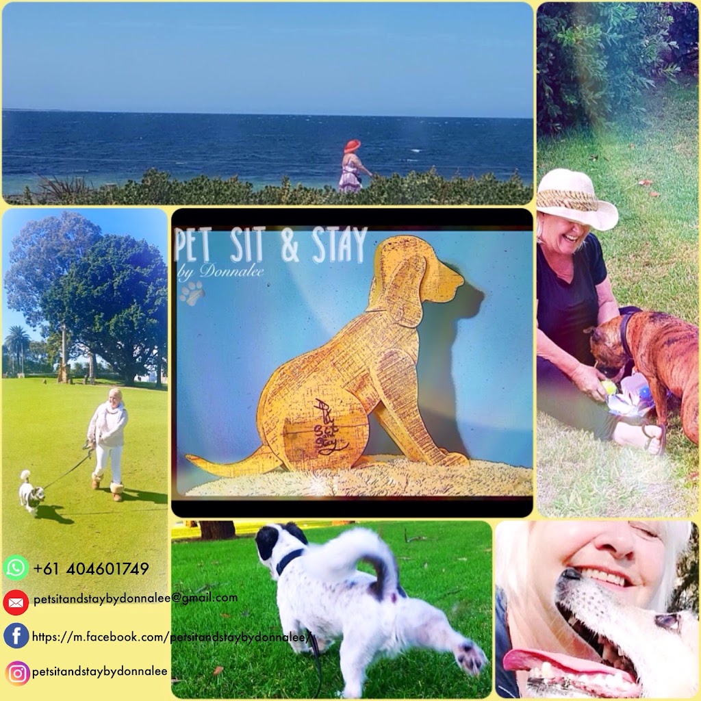 Pet Sit and Stay | 16 Dolara Ct, Maddington WA 6109, Australia | Phone: 0404 601 749