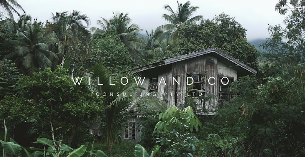 Willow and Co Consulting | finance | 9/33 Kimberley St, Vaucluse NSW 2030, Australia | 0423661775 OR +61 423 661 775