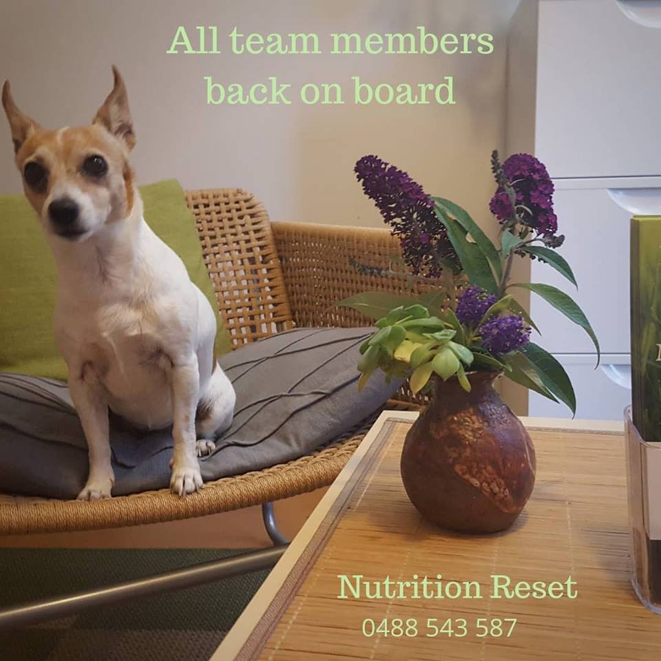 Nutrition Reset | 48 Gardiner St, Goolwa SA 5214, Australia | Phone: 0488 543 587