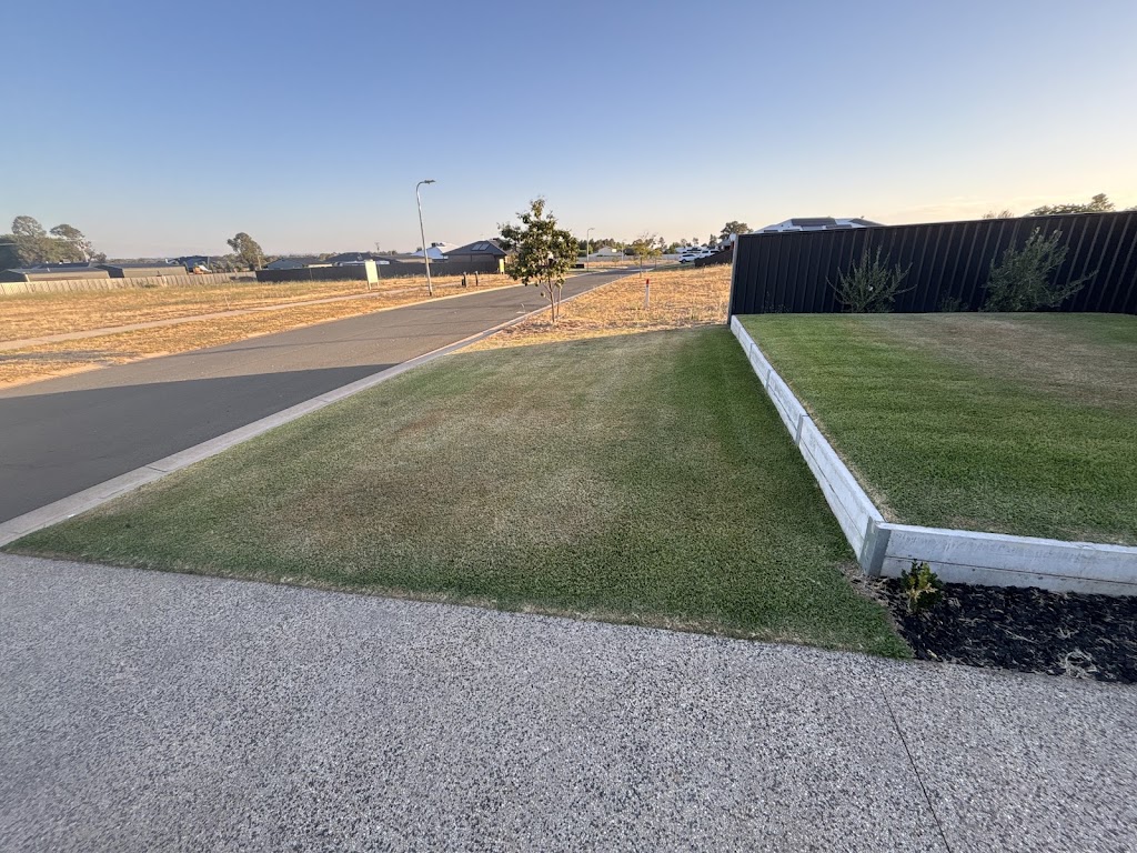 Evergreen lawn maintenance | 272 River St, Corowa NSW 2646, Australia | Phone: 0407 225 101
