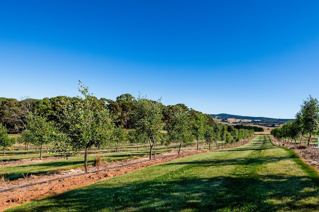 RedGround Truffles | 264 Titania Rd, Oberon NSW 2787, Australia | Phone: 0457 775 297