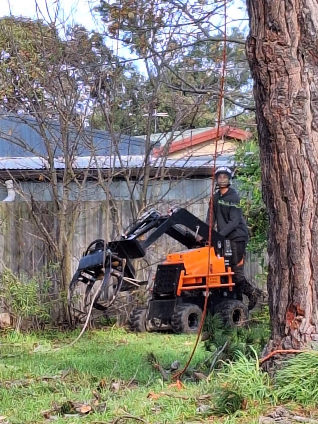 Victorian Tree Specialists | 281 Blackburn Rd, Blackburn South VIC 3130, Australia | Phone: 1300 604 510