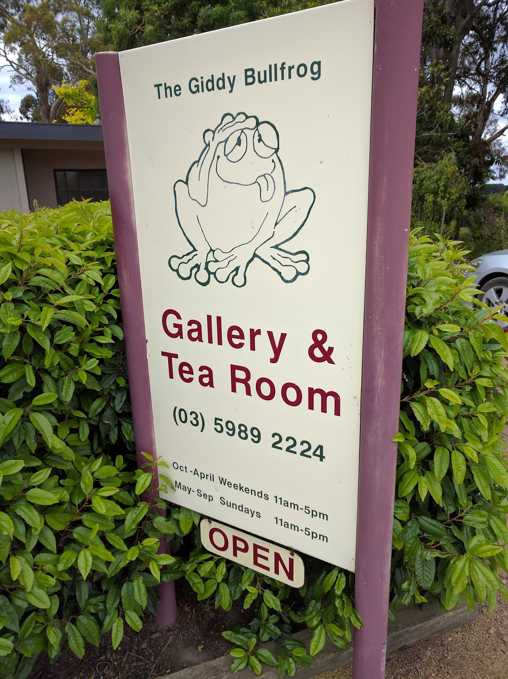 The Giddy Bullfrog Gallery | art gallery | 38 Ocean View Ave, Red Hill South VIC 3937, Australia | 0359892224 OR +61 3 5989 2224