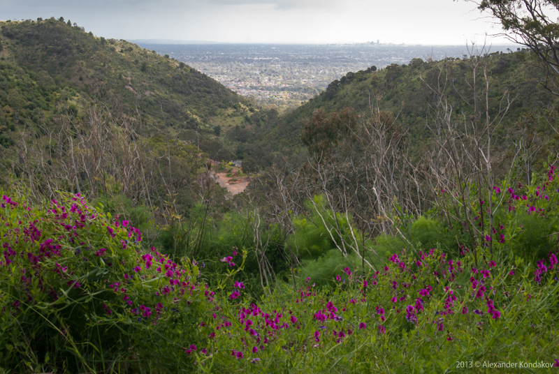 Anstey Hill Recreation Park | park | Perseverance Rd, Tea Tree Gully SA 5091, Australia | 0885237700 OR +61 8 8523 7700